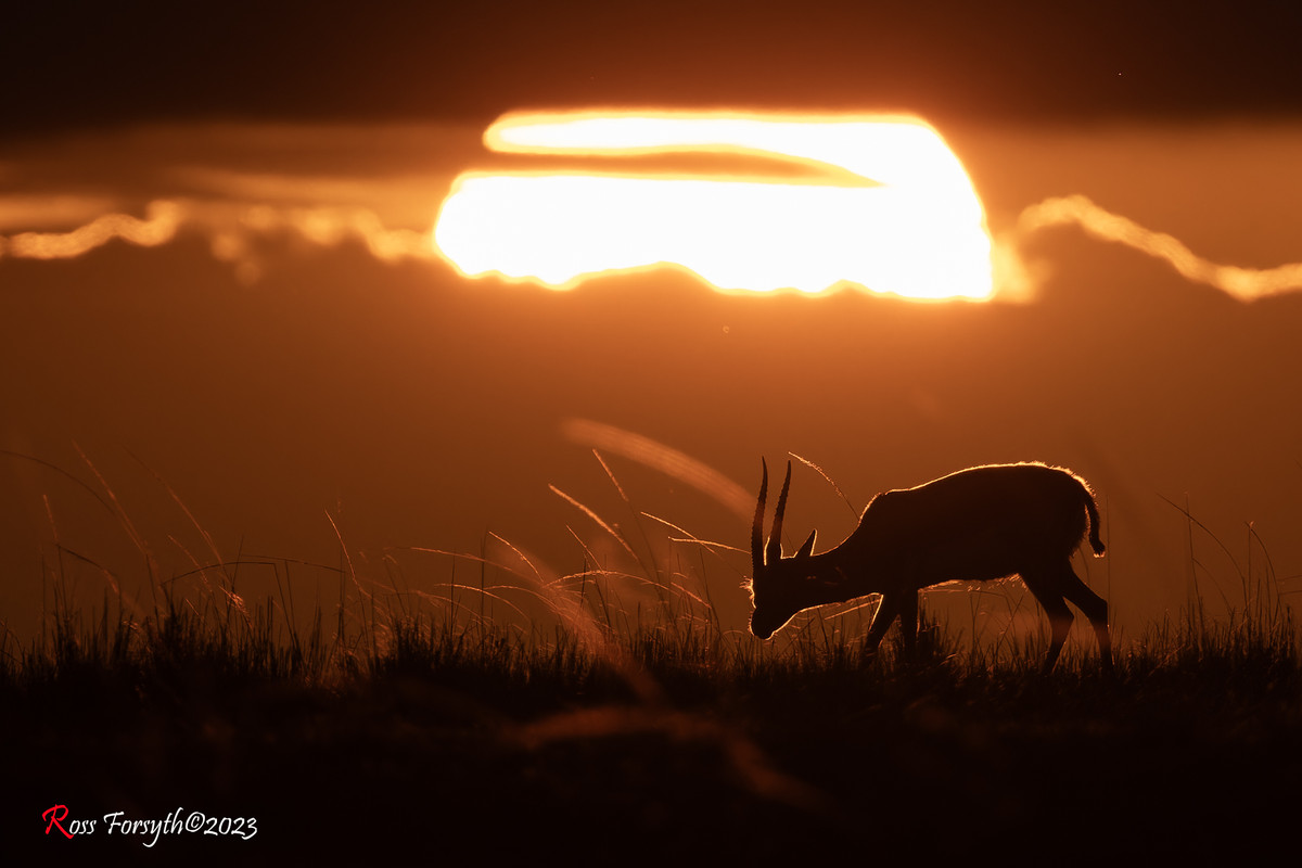 _5RF3229-CR3_DxO_DeepPRIMEXD