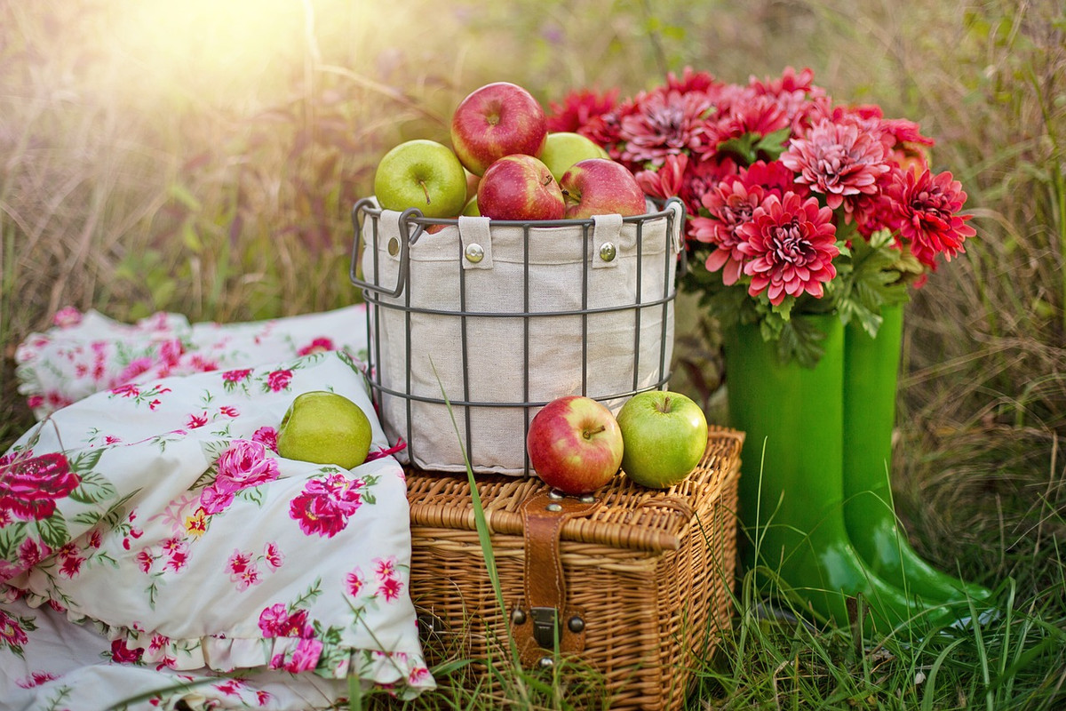 multi-picnic-apples-5594126-1280.jpg