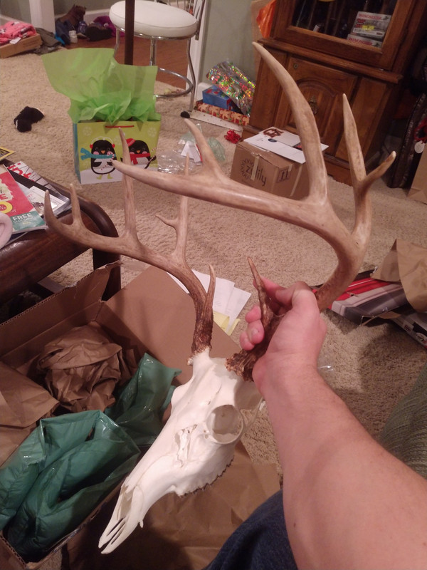 IMG_20181225_195554476