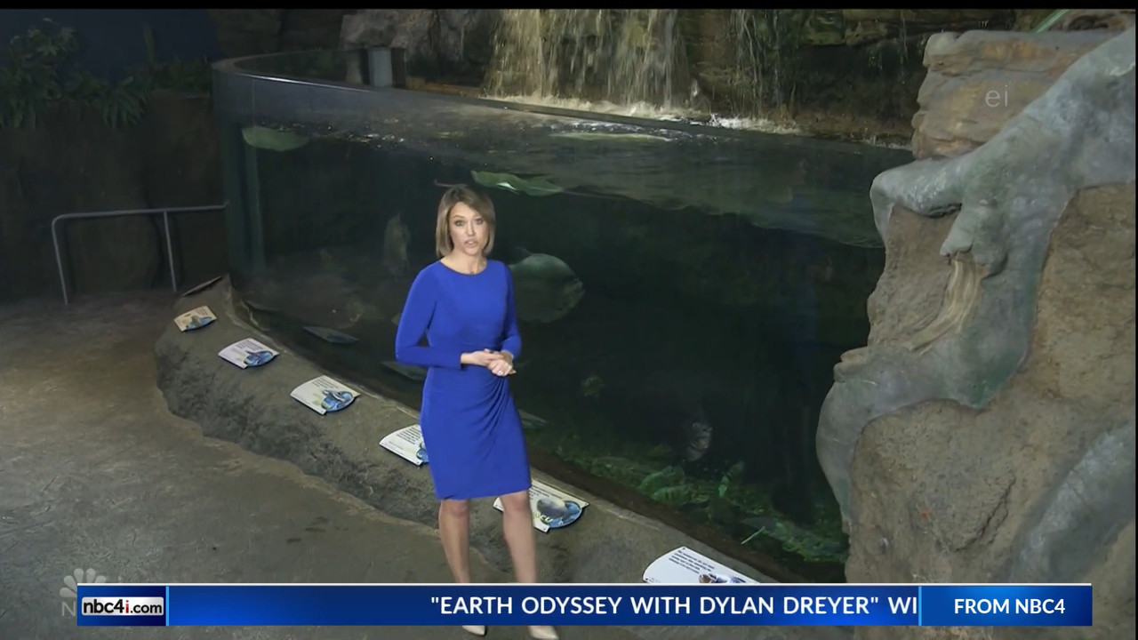 11.07 - 15.00.00 - Earth Odyssey With Dylan Dreyer. The world's smart....ts_snapshot_00.25.02.207