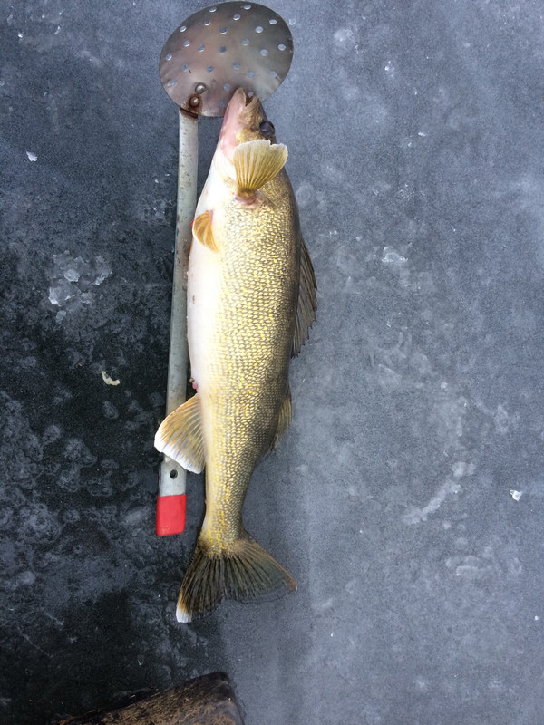 7537B7BA-16E9-4578-9A6A-B9676F3FF777