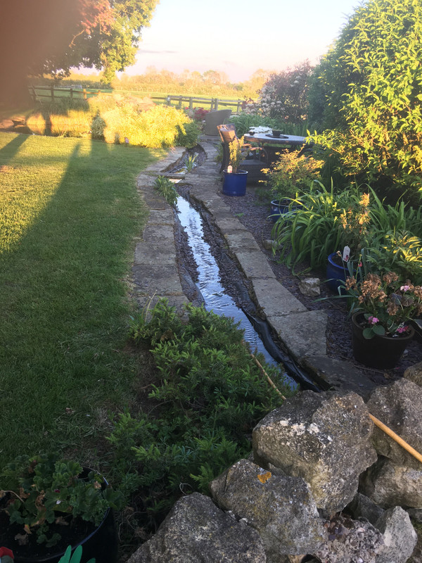 D73E94C4-33EB-4D5D-85B7-6A3A1E7FE86D