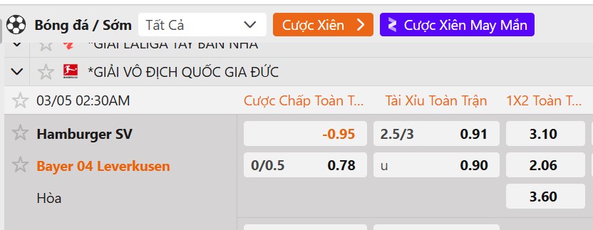 Tỷ lệ kèo Hamburger vs Leverkusen