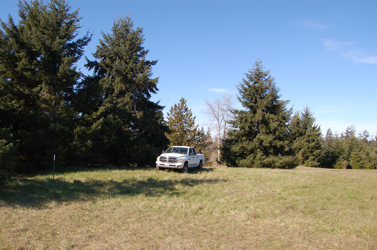 [Image: DSC-0011.jpg]