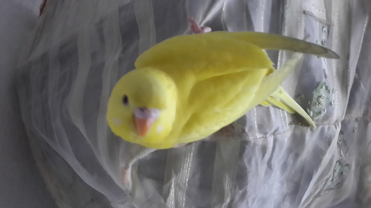 20180513_161425