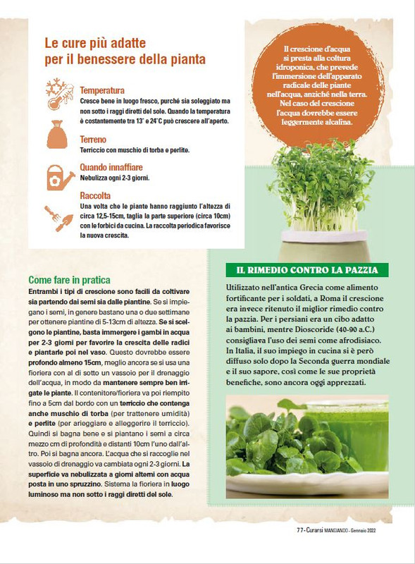 Cur Mang Gen 2022 (12)