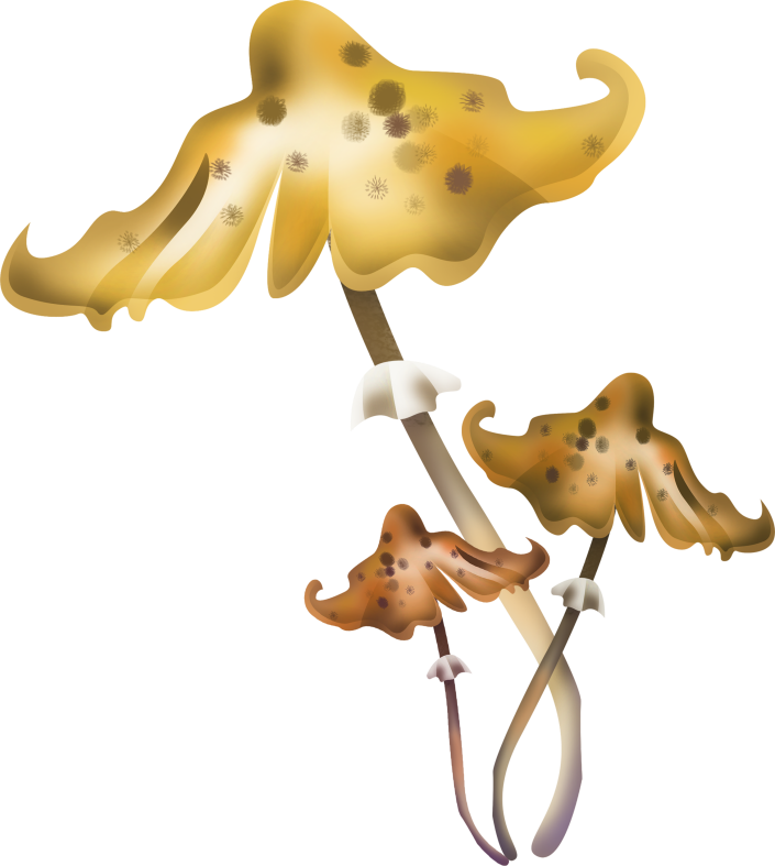 Pumpkinfairykitpudnmushrooms2