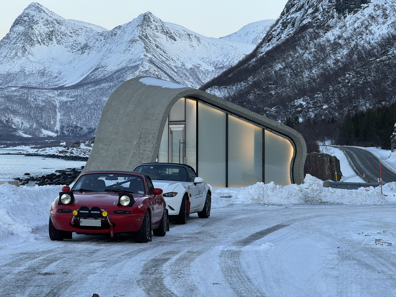 [Immagine: IMG-9046.jpg]