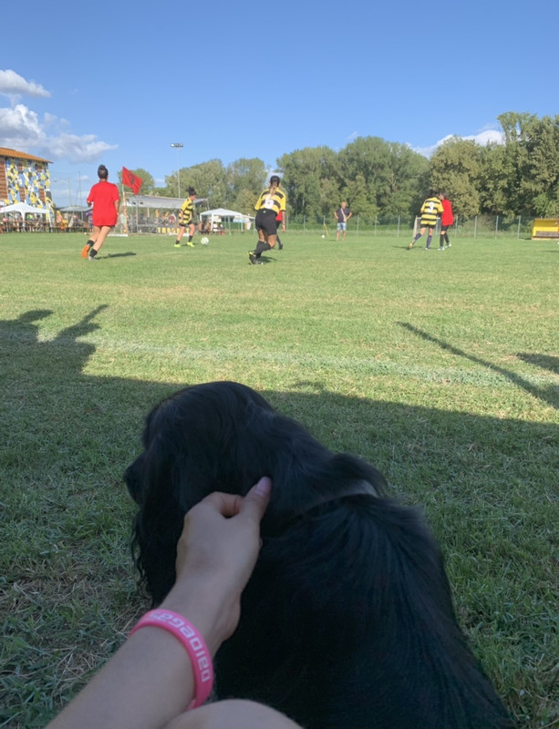 90F732F7-9C37-4641-9272-A3CAD4E49603