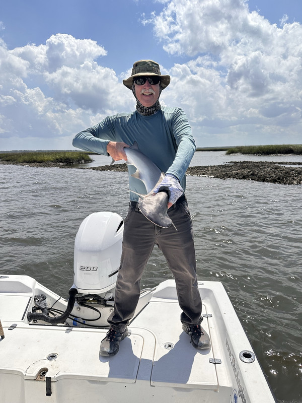 Amelia-Island-Shovelhead-Shark-5-16-23.jpg