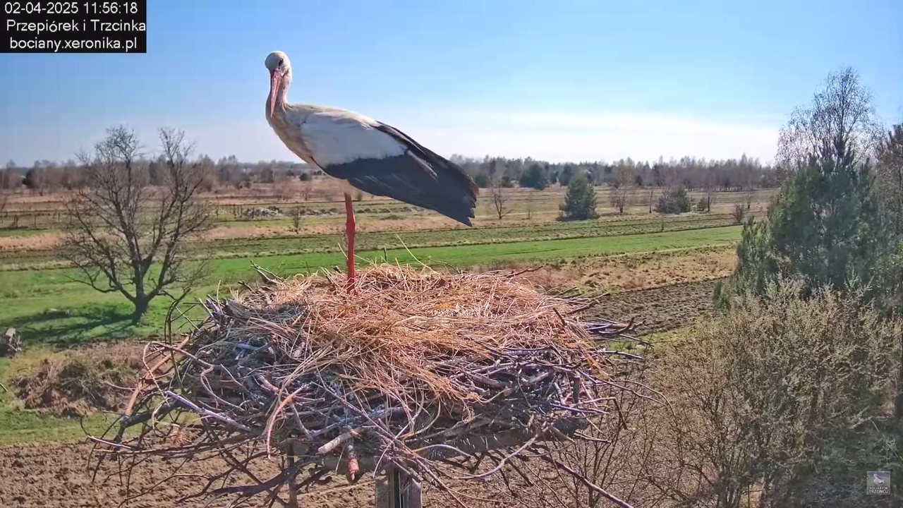 02042025krotkawizytabocka_20