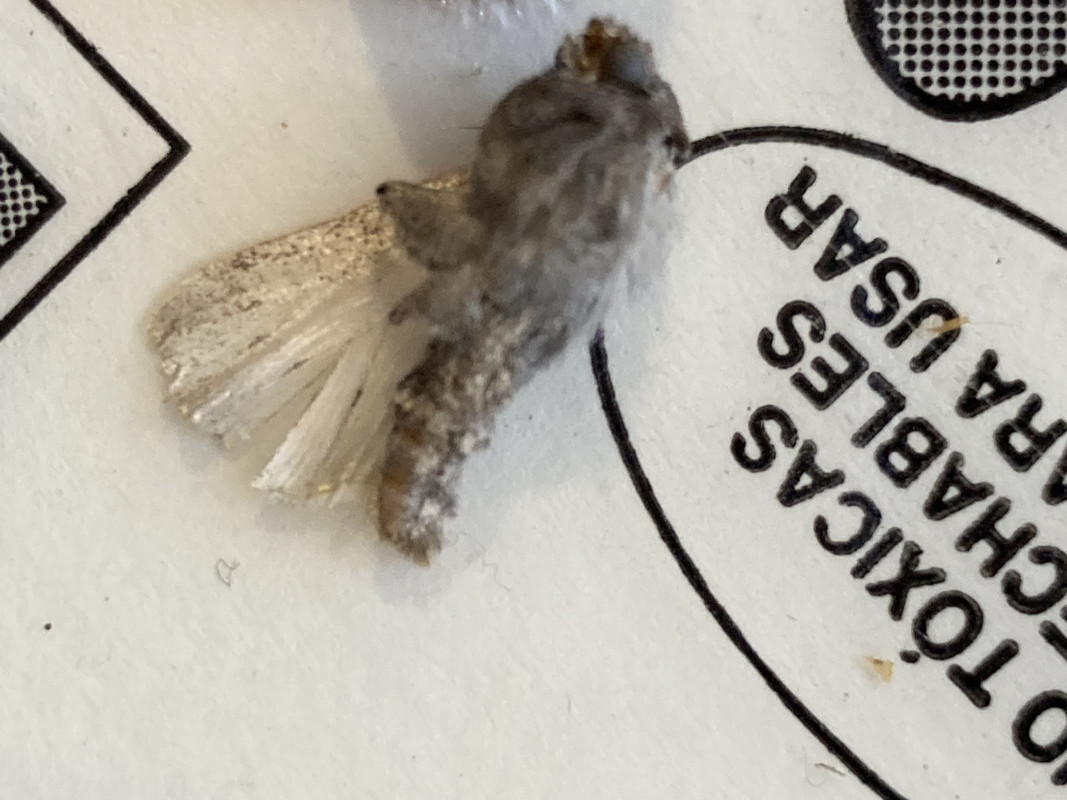 1C0DDD9E-B66E-4EBA-B041-1E85A180185C