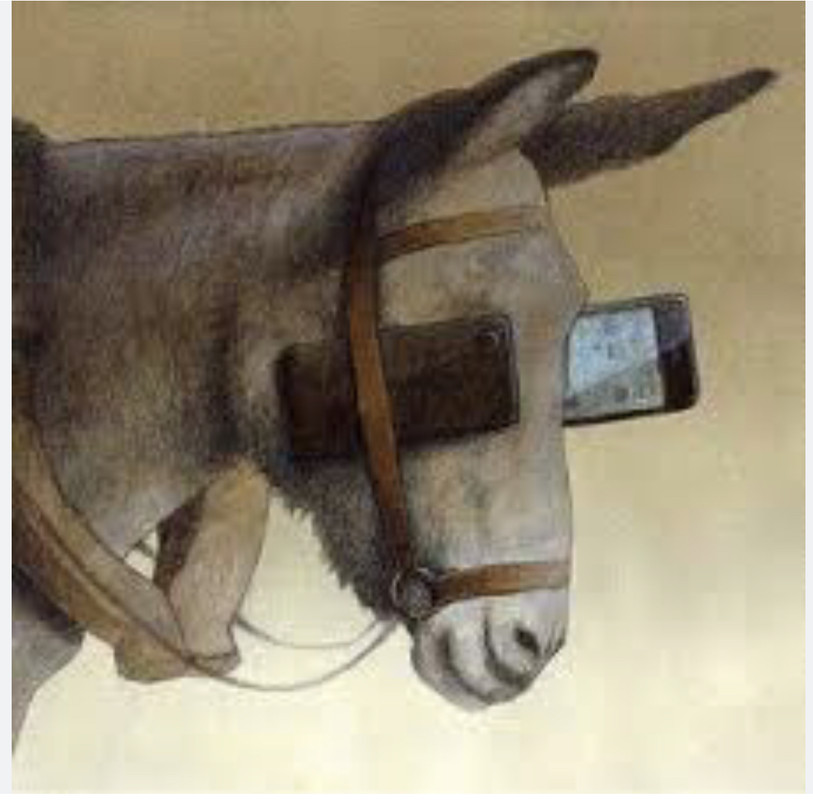 2186EFC5-56C0-475A-B5AA-8574B9B8E312