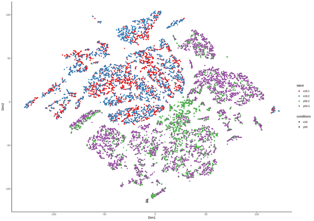 merged Data tSNE