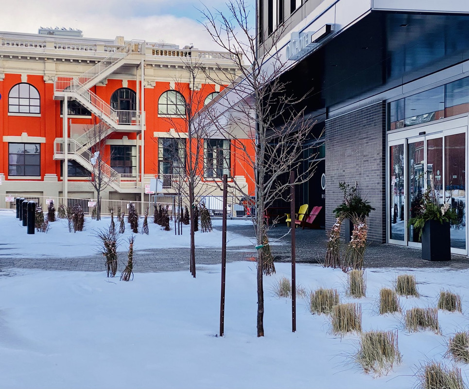 6E96E729-41D9-4DC1-9D90-ECCDC4C7316D