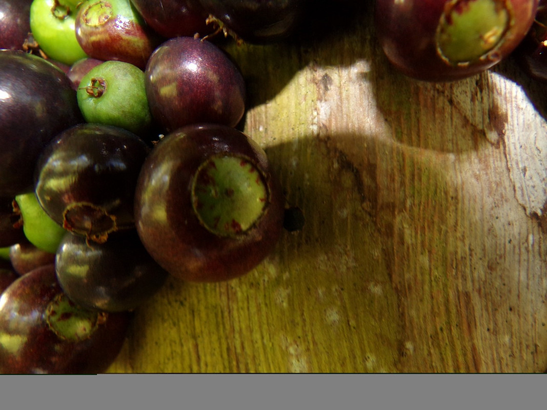 WhatsApp Image 2020-12-20 at 00.58.58 (23)