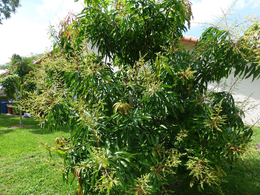 1669816_10102355973621824_825736646_o[1]