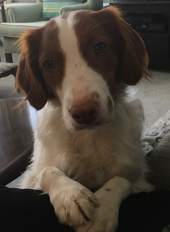 8A028B67-355A-444D-BD2E-CF360E93B8A9