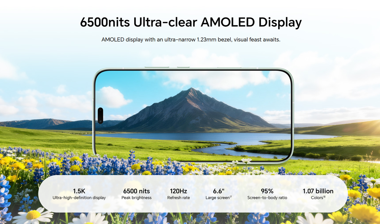 AMOLED Display