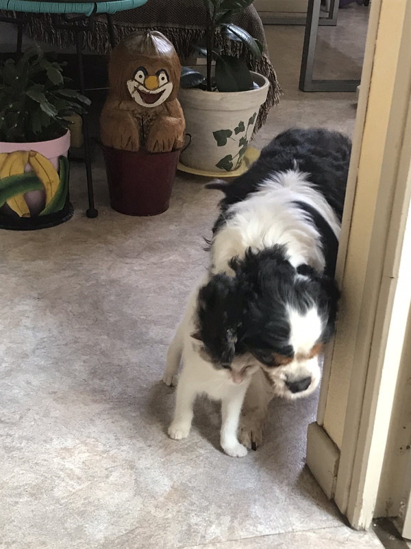 1C738E3C-2220-431D-8D79-5F07C5268A18