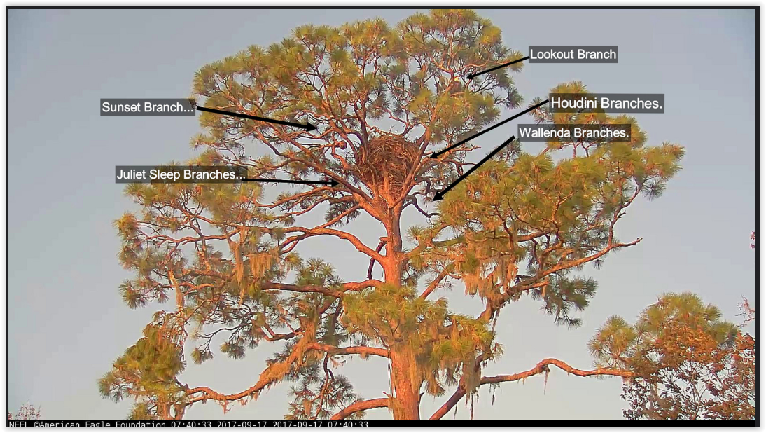 Screen Shot 11-07-18 at 08.54 AM