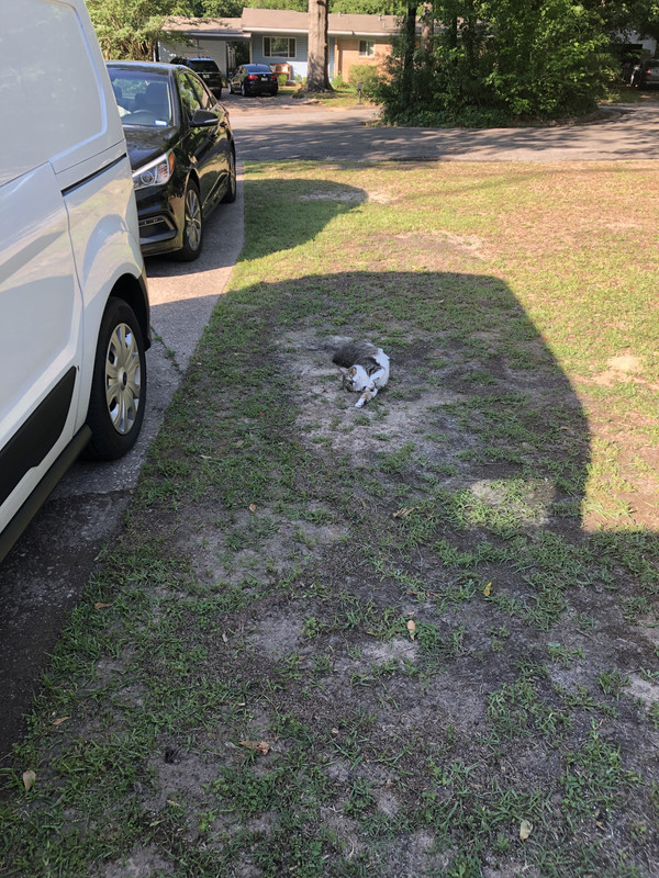 80EE5DB6-FE72-409E-B168-D97A540CEA6D