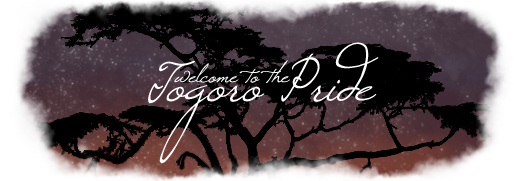 Togoro Pride Banner