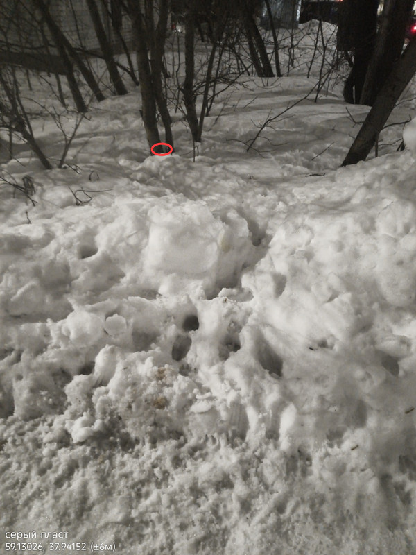 IMG 20260301 201555 291