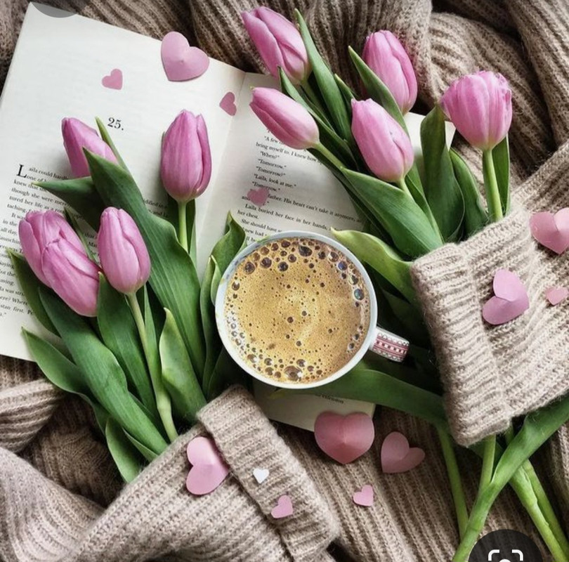 Screenshot_20230315_231036_Pinterest