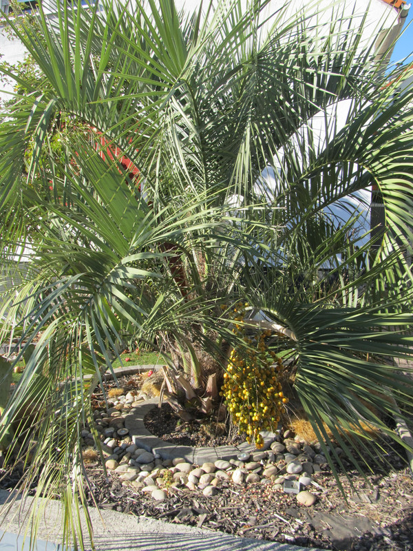 IMG 0749