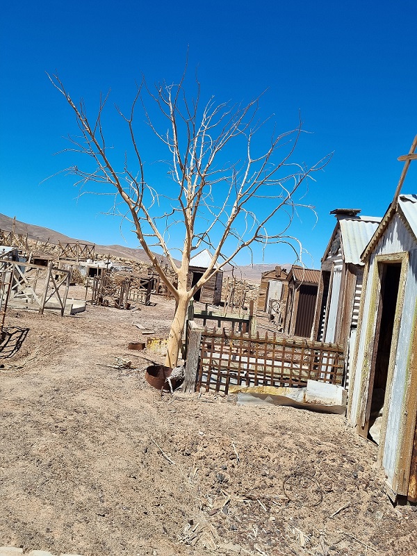  Atacama 2022 21-Zone6-Village-Y-Cementerio3