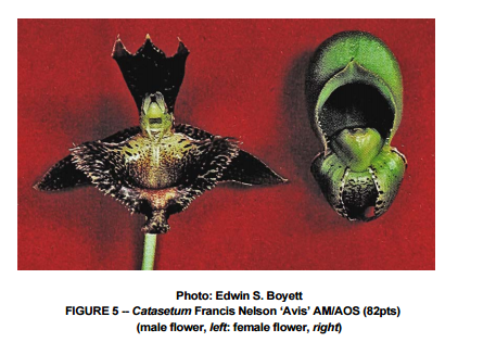 F196C838-9E68-45F2-9A1B-67A785F6217E