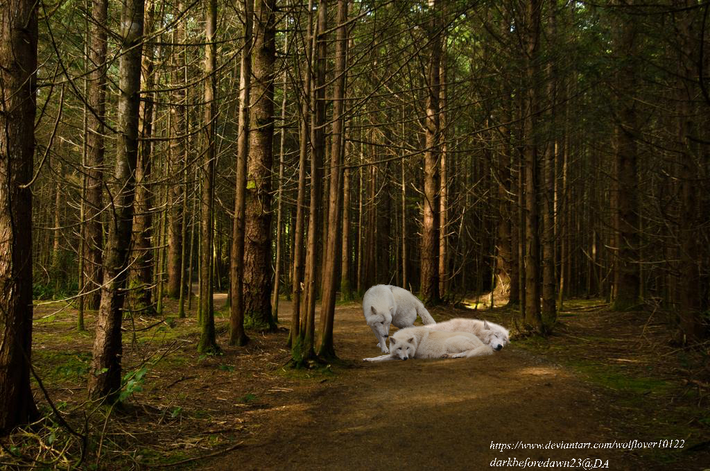 19133FC4-0EDD-4B38-A442-52AC59E29315