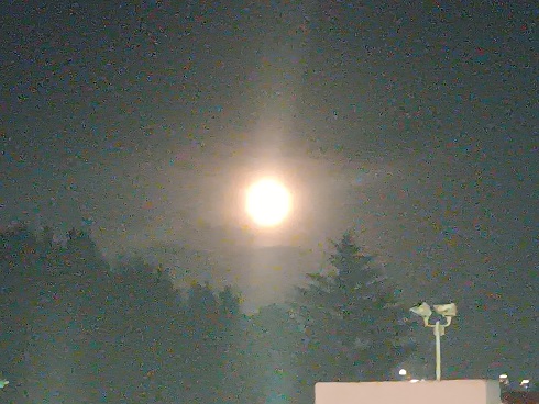 Love Bright Moon