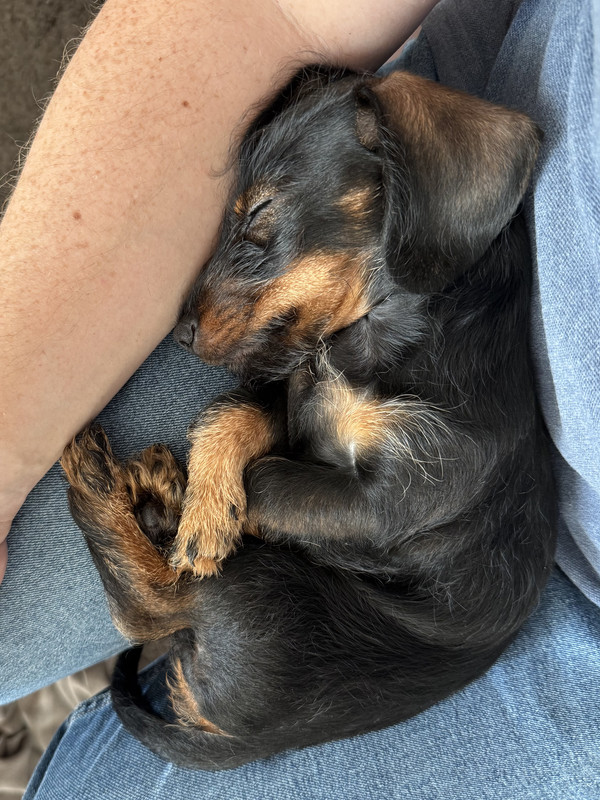 [Image: IMG-1939.jpg]