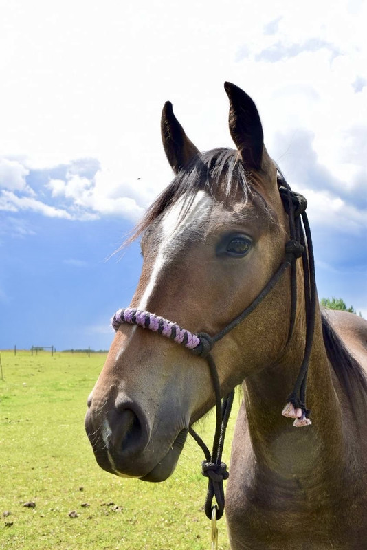 3905A726-3BA6-46BD-9F6B-2A3B863782BE