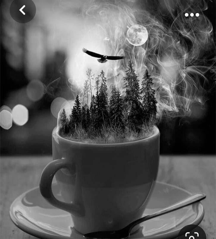 Screenshot_20230928_211100_Pinterest