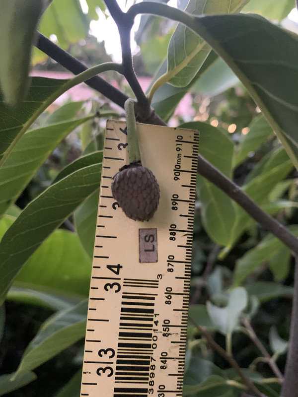 09379C56-3B1A-4233-AACC-1E3BCDE362C1