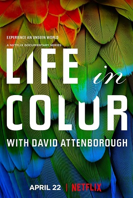 David Attenborough - La vita a colori (2021) [Completa] DLMux 1080p E-AC3+AC3 ITA ENG SUBS