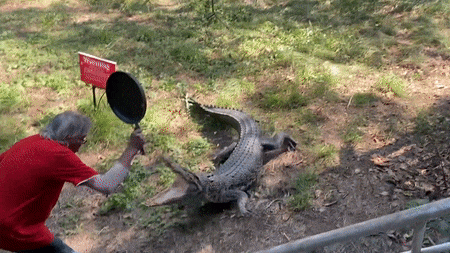 4d1b62c689d9a274fce755da91311435.gif