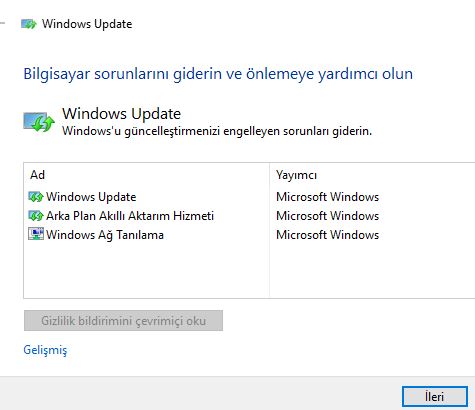 Windows Update sorun giderici