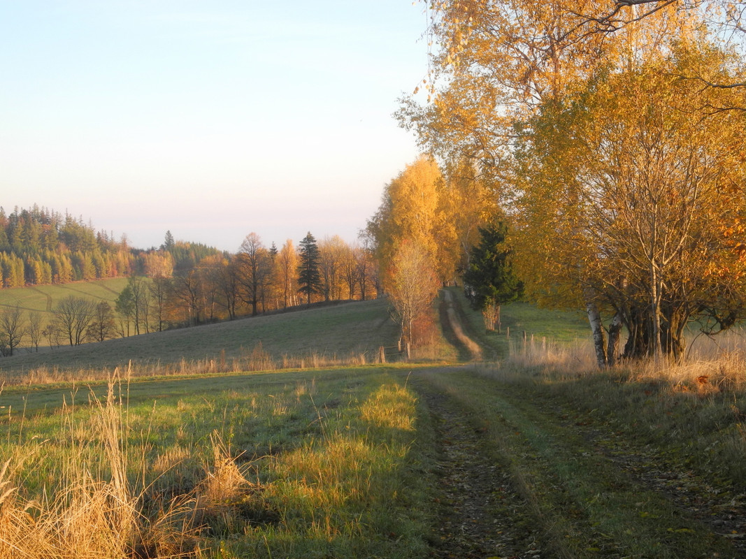 09239706_oqzjnnlnfaqzrj