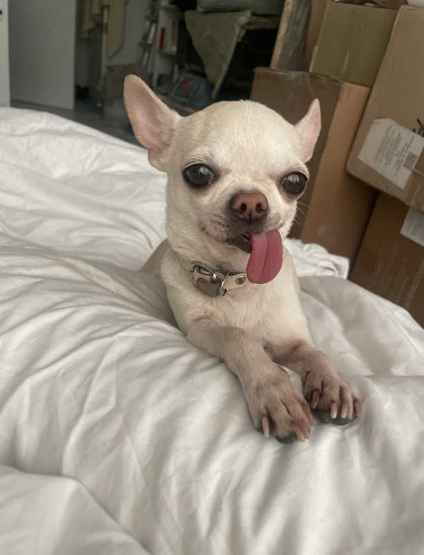 9341781C-68F2-4856-9864-0602C23E7430