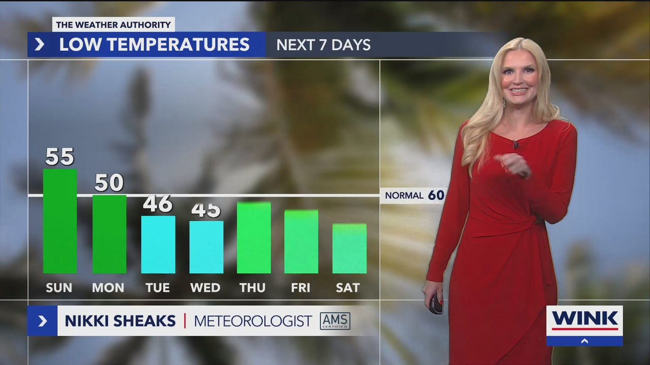 WINK News at 11_20241201_04000500.ts_snapshot_00.01.32.101