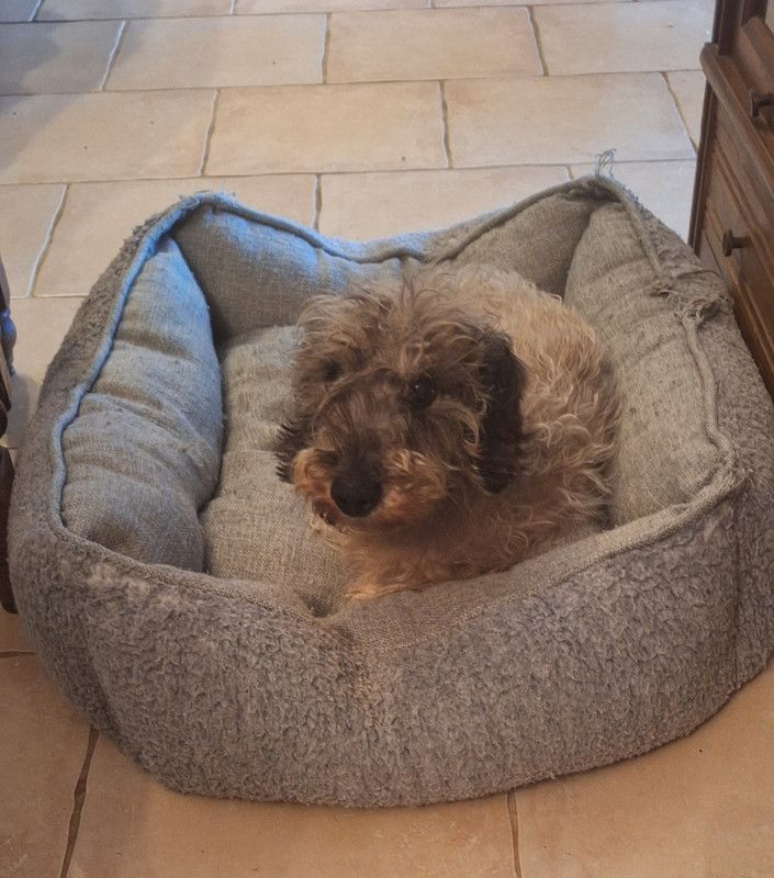 [Image: 20240720-184912.jpg]