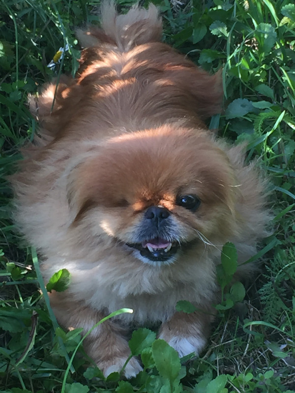 A3C3463F-72AF-403C-B2EB-7861C3479097