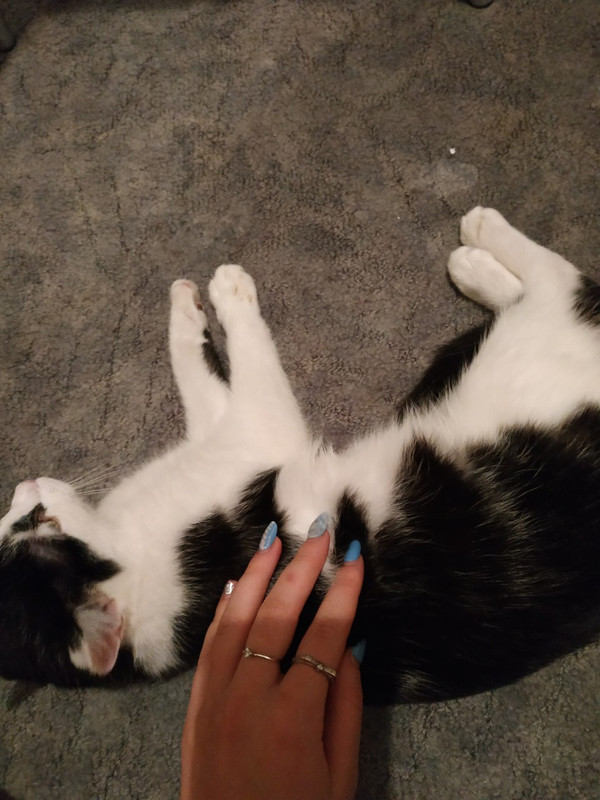 ЛуЛу_Евгений2