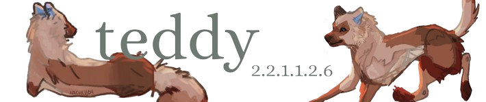 Din-stycketext-removebg-preview.png