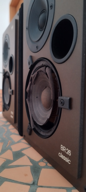 [Bild: IMG-20260131-150426.jpg]