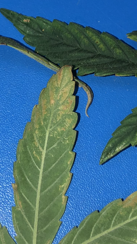 A103655F-AE70-4515-927D-8B983D941FE1